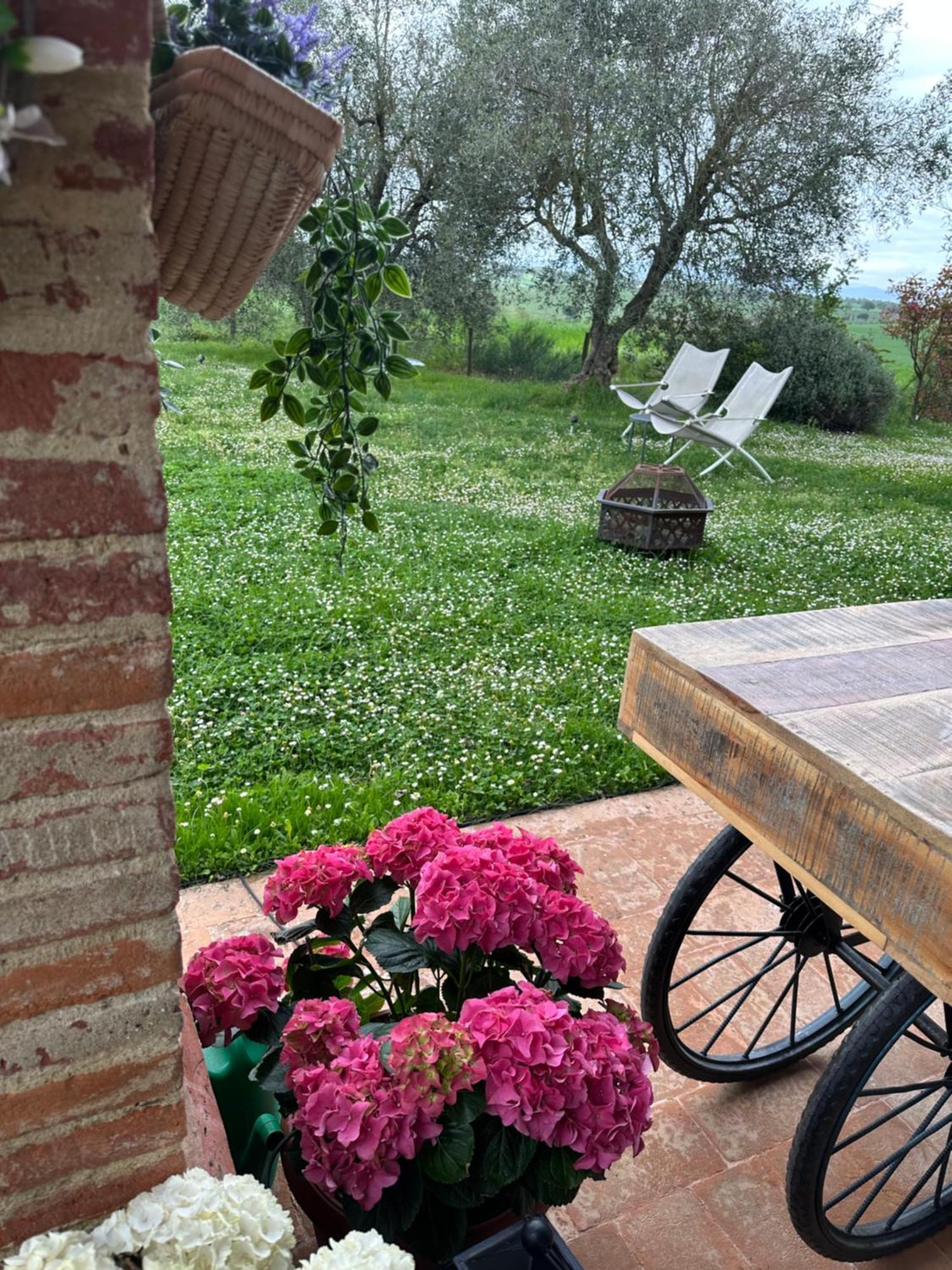 Villa Bellora Cortona Dış mekan fotoğraf