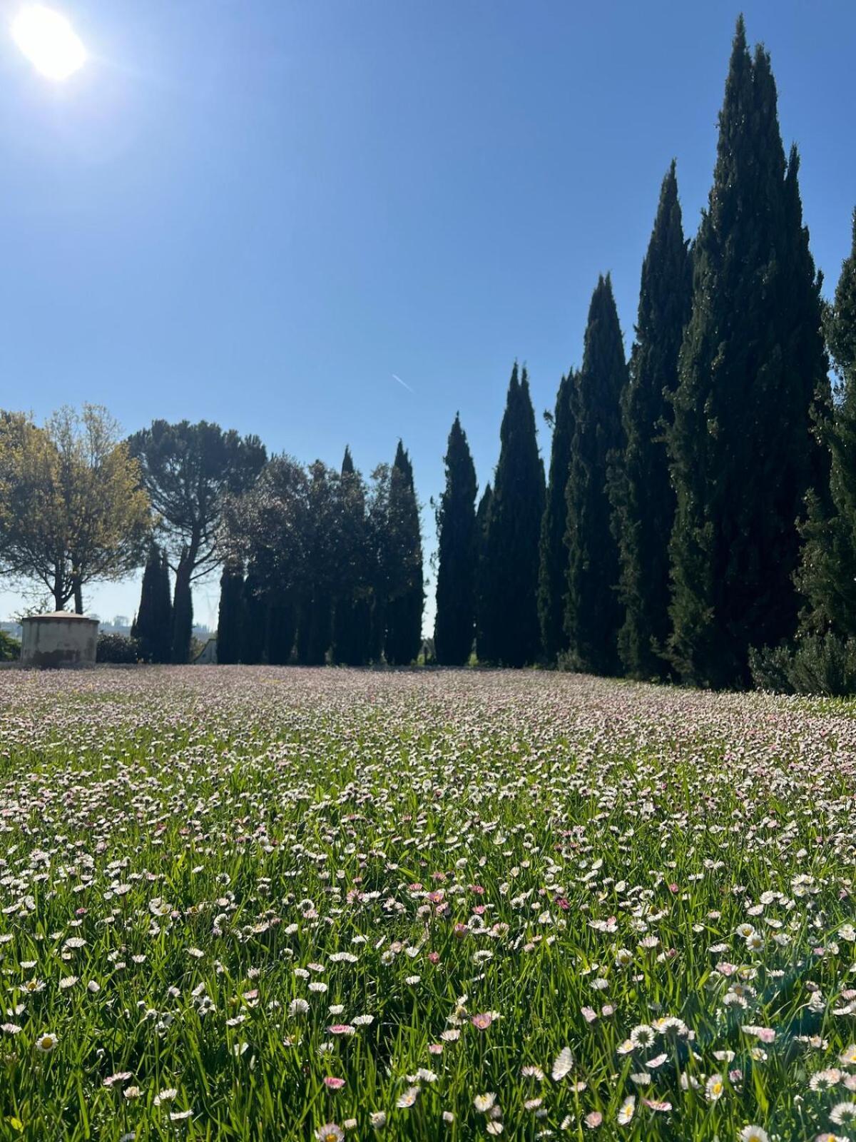 Villa Bellora Cortona Dış mekan fotoğraf