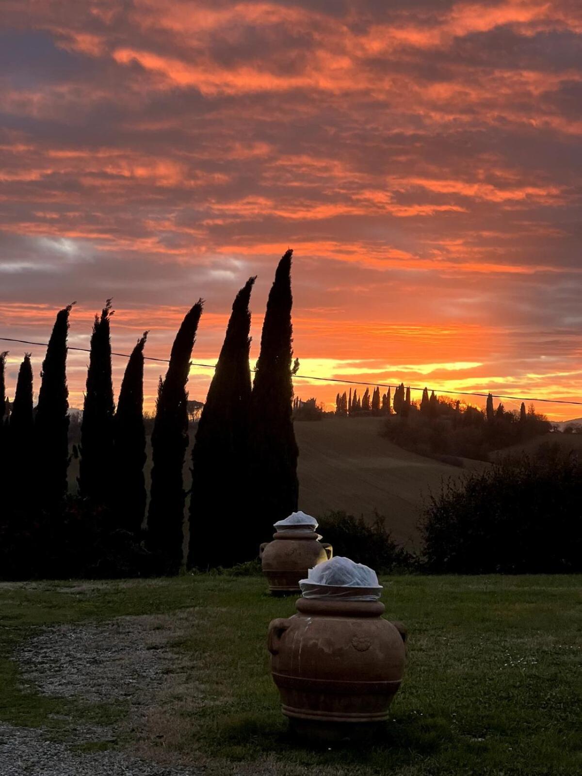 Villa Bellora Cortona Dış mekan fotoğraf